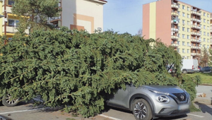 Silný vietor zlomil 10-metrový vianočný stromček, poškodil dve autá