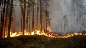 Európu sužuje počasie. Vo fínskom Laponsku vystúpili teploty na 30 stupňov