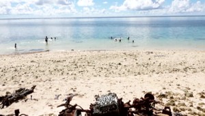 Hybrid alebo záhada prírody? Mŕtve telo tvora prekvapilo obyvateľov