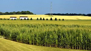 A je po úrode! Zlodeji kradli pre šamana