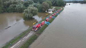 Záplavy a teplo spôsobili inváziu komárov: Bratislava zasahuje postrekmi