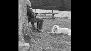 Ak by sa Karel liečil, veľmi by trpel, vysvetľuje špičkový onkológ