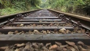 VIDEO: Policajti zachraňovali muža, ktorý sa pokúsil o samovraždu