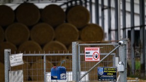 Vláda sprísňuje ochranu pred slintačkou a krívačkou. Od polnoci zavádza hraničné kontroly