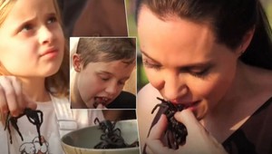 VIDEO: Angelina kŕmi svoje deti pavúkmi