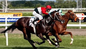 Na dostihovom derby 14 koní