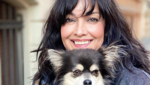 Príšerné! Terezu Brodskú a jej čivavu napadol zúrivý pitbull, majitelia nedokázali pomôcť!