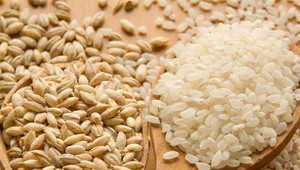 Vedci varujú: Ryža môže byť jedovatá, ak ju varíte nesprávne