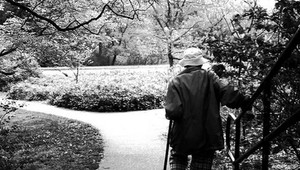 Na východe existuje daňový raj, nemusia platiť dane!