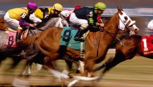 Tragédia na dostihoch, kôň preskočil medzi divákov