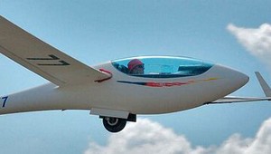 Vetroň pristál v záhrade rodinného domu