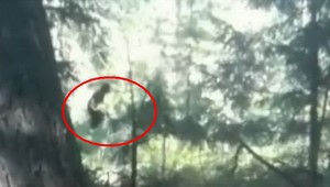 Žena natočila legendárneho YETTIHO, prekvapil ju v lese!