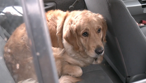 Plamene zničili strechu a uväznili dvoch psov. Viacgeneračný dom zostal neobývateľný