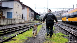 Počty nezvestných sa u nás rátajú v tisíckach. Čo sa stane v prípade, ak bola hľadaná osoba vyhlásená za mŕtvu?