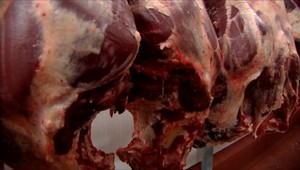 V obchodoch prebiehajú kontroly pre rizikové mäso. Dostať sa malo aj na slovenské pulty