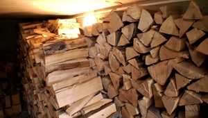 Štátne lesy vypovedali vyše 100 zmlúv. Minister pôdohospodárstva hovorí o transparentnom obchodovaní s drevom