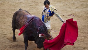 Býčie zápasy v španielskom Katalánsku. Je koniec!