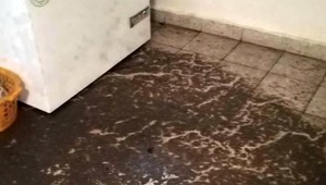 Po búrke rodine v Zoborove zaplavilo pivnicu splaškami. Obec mala problém vyriešiť pred rokom, všetko ale zlyhalo