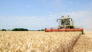 Extrémne počasie ohrozuje produkciu potravín