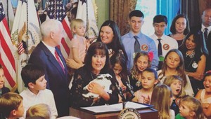 Biely dom má svojho prvého králika