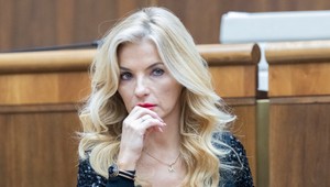 Kultúrny štrajk varuje: Ak ministerka kultúry neodstúpi, situácia sa bude len zhoršovať