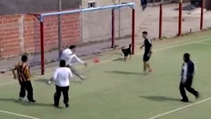 VIDEO. Iná haluz! Gól útočníka so štyrmi nohami ste ešte nevideli!