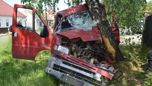 Jeden deň, dva stromy. Šoféri precenili svoje schopnosti