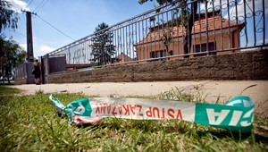 Zlodej rozsekal starenke dvere, tá si ich dala zamurovať