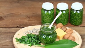 Šéfkuchár Massimo varil pre TV JOJ: Medvedí cesnak je zázrak