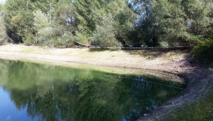 Na Liptovskej Mare našli v stane mŕtvu dvojicu