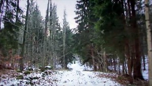 Žena sa vybrala na prechádzku sama, stratila sa v pralese