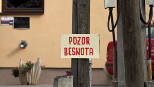 Ďalší poplach pre besnotu na Zemplíne: Opatrenia od štátnych veterinárov dostala obec aj poľovníci