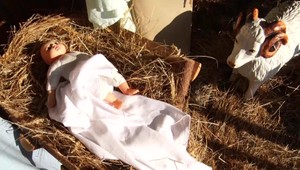 Odhalený Ježiško a somárik s polámanými nohami. Vandali sa vyzúrili na betleheme