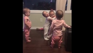 Štvorčatá si krátili chvíľu objímaním. Video dojalo cez 40 miliónov ľudí