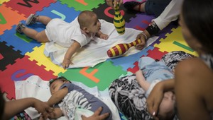 Nemecko hlási 15 nakazených vírusom zika