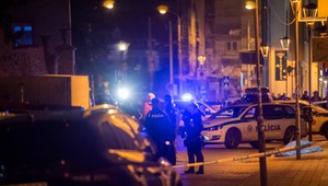 Primárnym cieľom vraha zo Zámockej ulice bol premiér Heger, uviedol Hamran