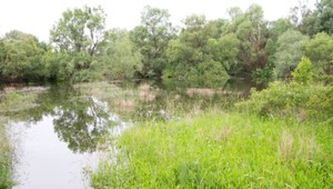 Pri Bratislave našli v rieke telo neznámeho muža, neďaleko bol aj bicykel