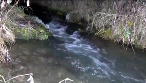 Žena našla v potoku mŕtveho mladíka. Už mu nebolo pomoci