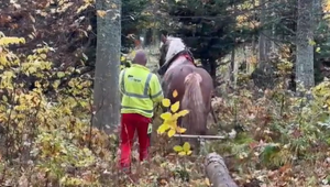 Hlučné stroje tam nenájdete. Ako sa "gazduje" v národnom parku?
