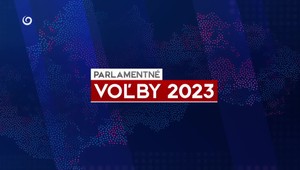 Volebný manuál: Ako odvoliť bez chýb, omylov a chaosu?