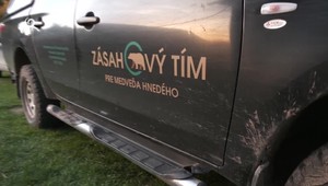 Na Liptove zaútočila medvedica na poľovníkov. Jeden z nich ju v sebaobrane zastrelil