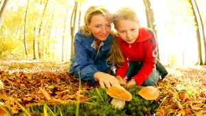 Víkend bude chladnejší, ale slnečná jeseň ešte neodchádza