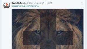 Levica zabila mladú ženu