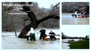 To ste ešte nevideli! Piknik v rozvodnej rieke Nitra