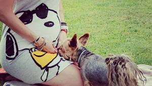 Známa JOJkárka čaká prvé bábo! Čo ale znamenajú jej slová, že budú ŠTYRIA?!