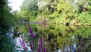 Poslanci sa zaoberali atrazínom vo vode. Na zvýšenej ochrane pracujeme dlhodobo, tvrdí ministerstvo