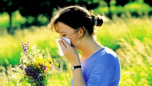 Slnko, seno a ... Horúčavy zhoršujú alergie