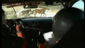 Čo sa ten s koňom zrazil?