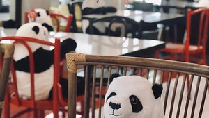 Pandy pri stoloch, aby sa hosť napriek obmedzeniam necítil osamote