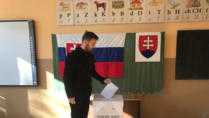 Srdcom doma. Slováci žijúci vo svete si želajú zmenu volebného zákona